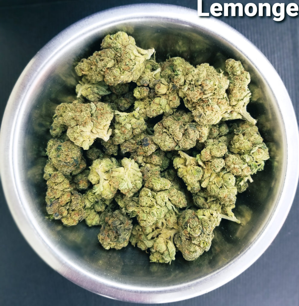 Wholesale Flower - Lemonage