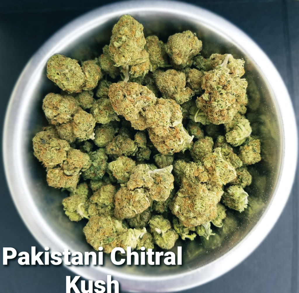 Wholesale Marijuana Flower - Pakistani Chitral Kush