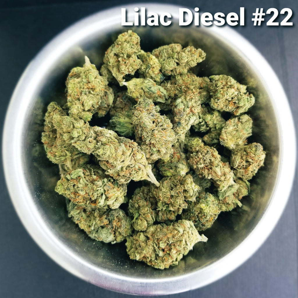 Wholesale Flower - Lilac Diesel